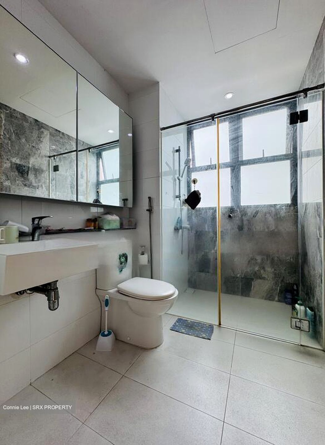 Eight Courtyards (D27), Condominium #464999361